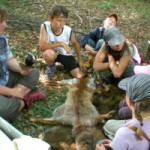 Schatzsuche im Wald